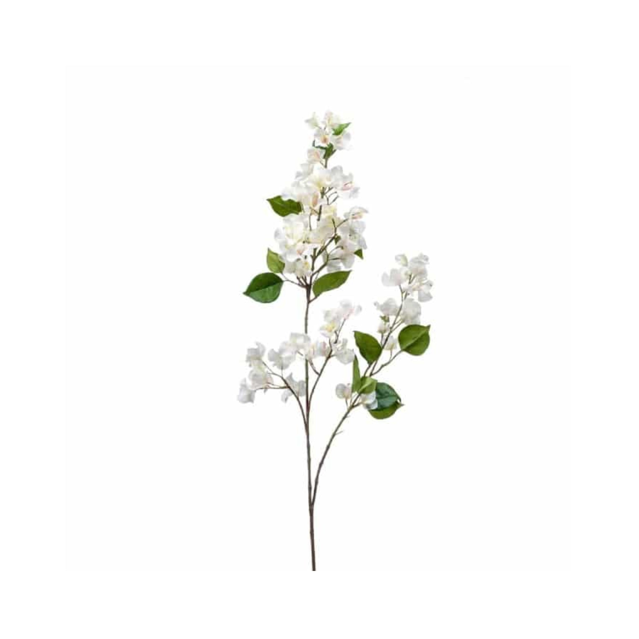 Rama de buganvilla 117cm | Crema