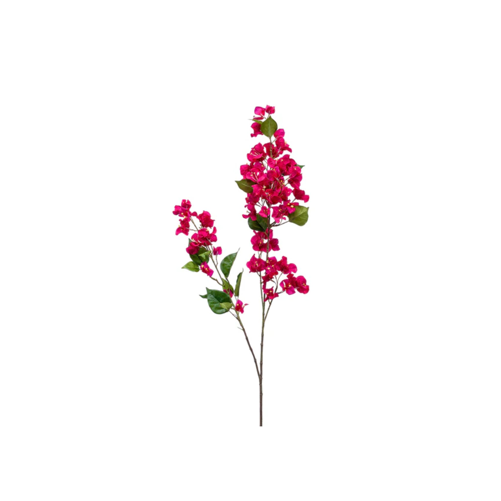 Rama Buganvilla Fucsia 117cm