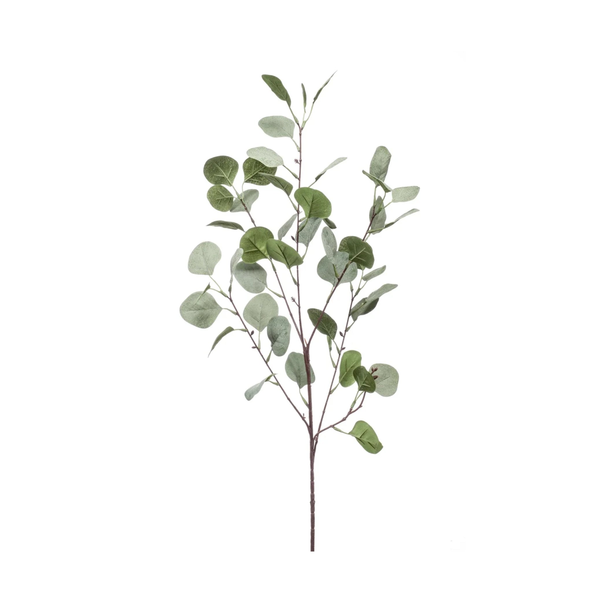 Ramo de eucalipto de 87 cm, gris y verde