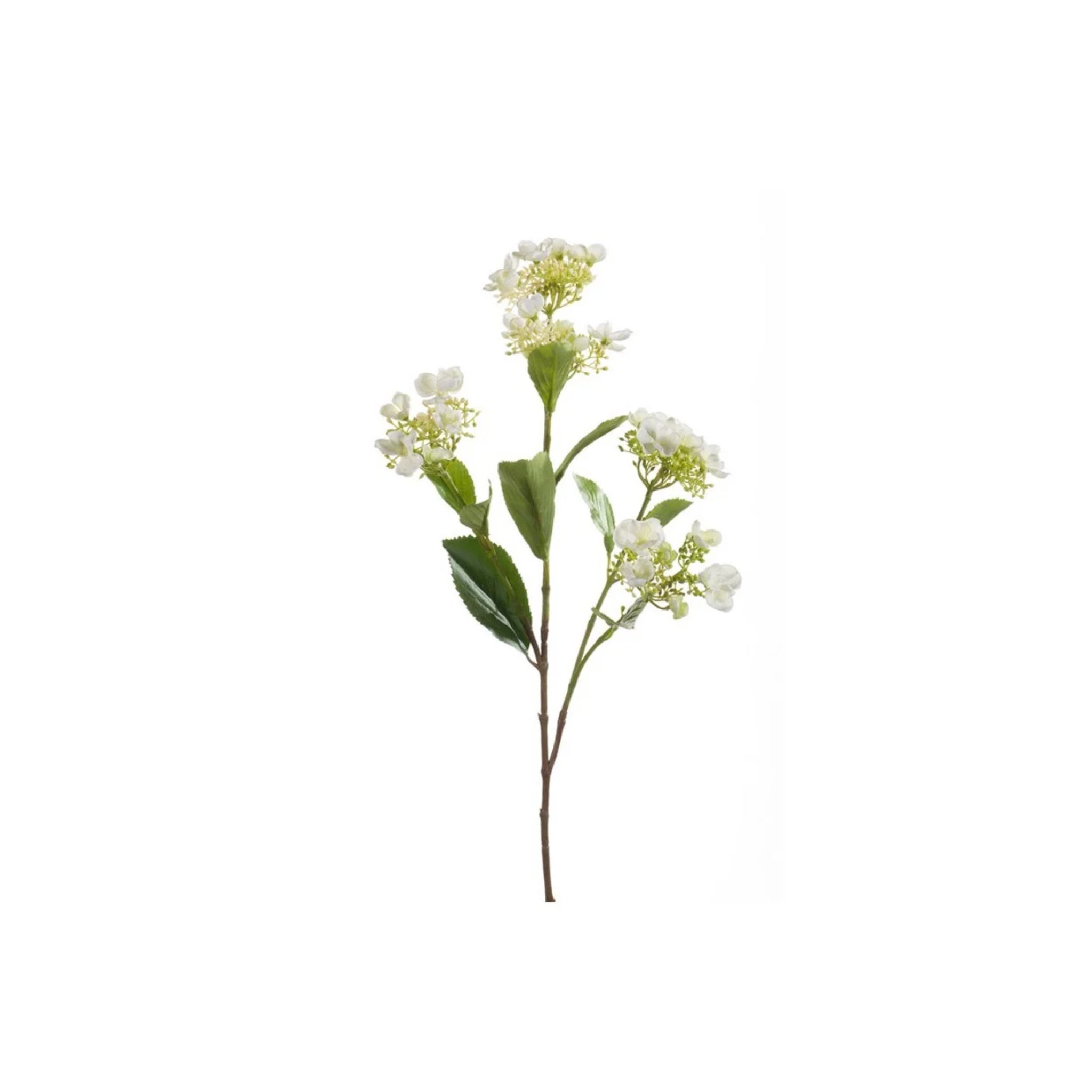 Ramo de hortensias de 75 cm en color crema