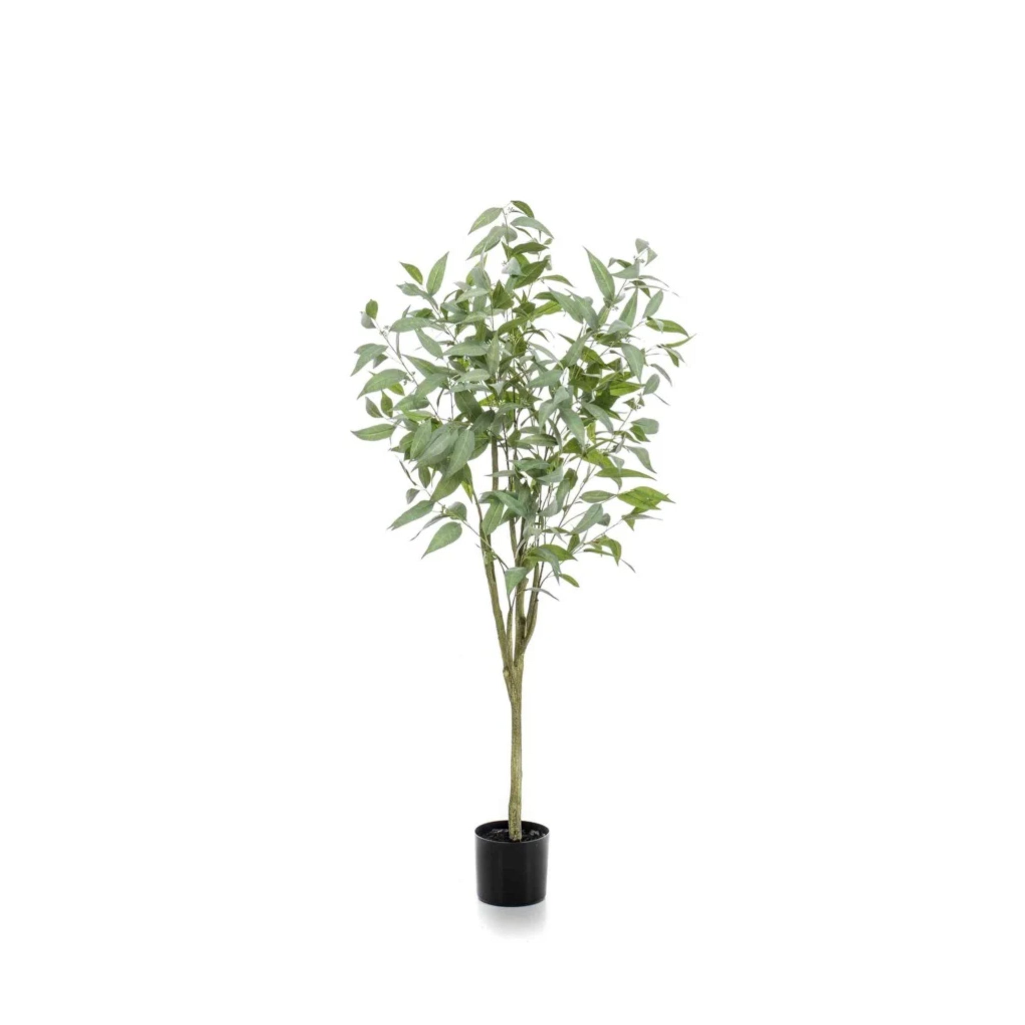 Planta artificial de interior | Árbol de eucalipto globulus de 150 cm
