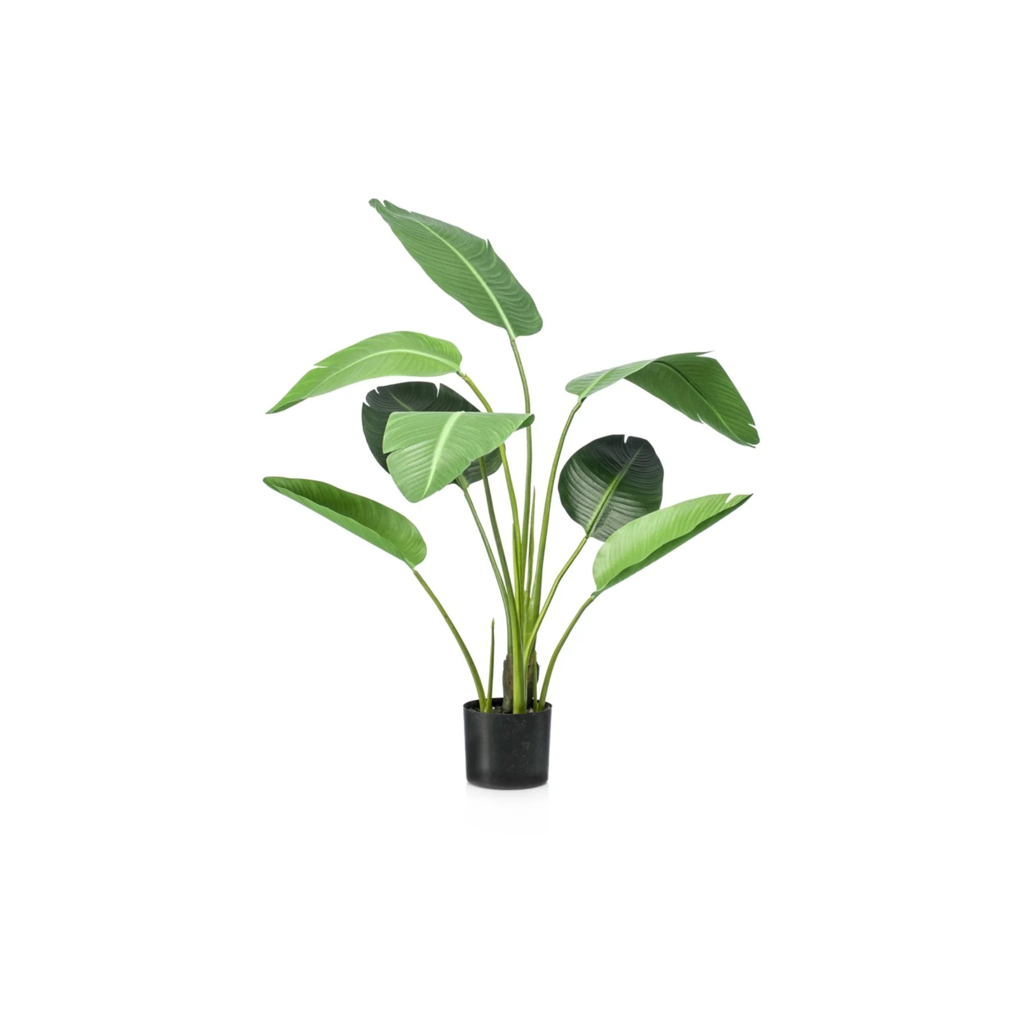 Planta artificial de interior | Strelitzia 120cm